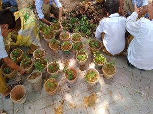 tree-planting-initiative-community-engagement-green-environment-sindh-2024-climate-awareness