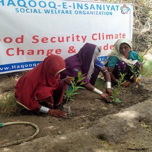 Building a Greener, Sustainable Future