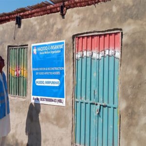 Environment & Disaster